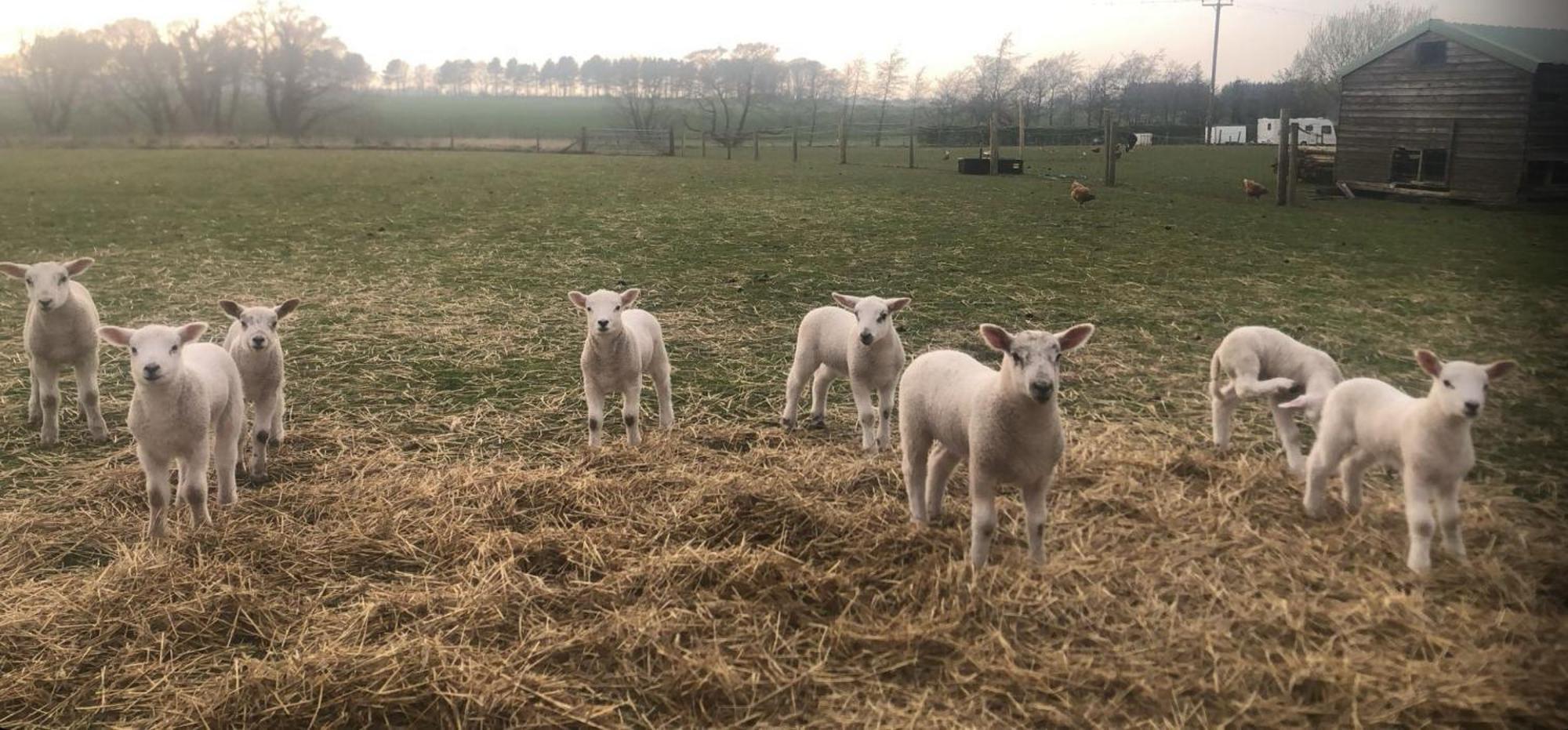 فيلا The Farm Burscough المظهر الخارجي الصورة